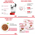 Royal Canin Kitten Gravy 85 Gr x 12
