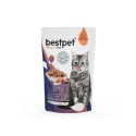 BestPet Somonlu Parça Etli Yetişkin Kedi Yaş Maması