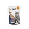 BestPet Tavuklu Parça Etli Yetişkin Kedi Yaş Maması BestPet Tavuklu Parça Etli Yetişkin Kedi Yaş Maması